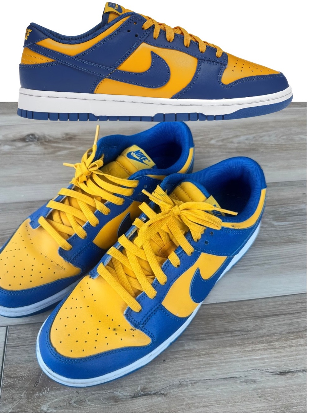 Nike Mens Low Top UCLA Sneakers